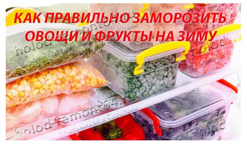 Тушеные овощи сколько могут храниться в холодильнике + при комнатной температуре, как лучше?