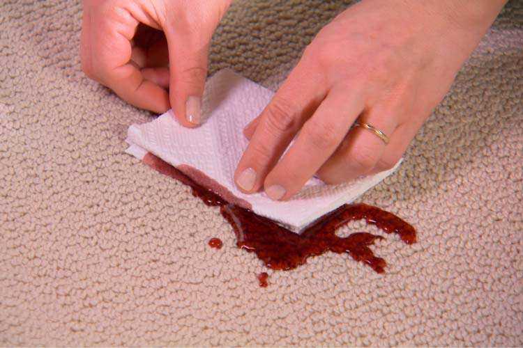 Как отстирать кровь с одежды в домашних условиях (засохшую, старую, свежую), какие средства использовать, в какой воде замачивать ткань?