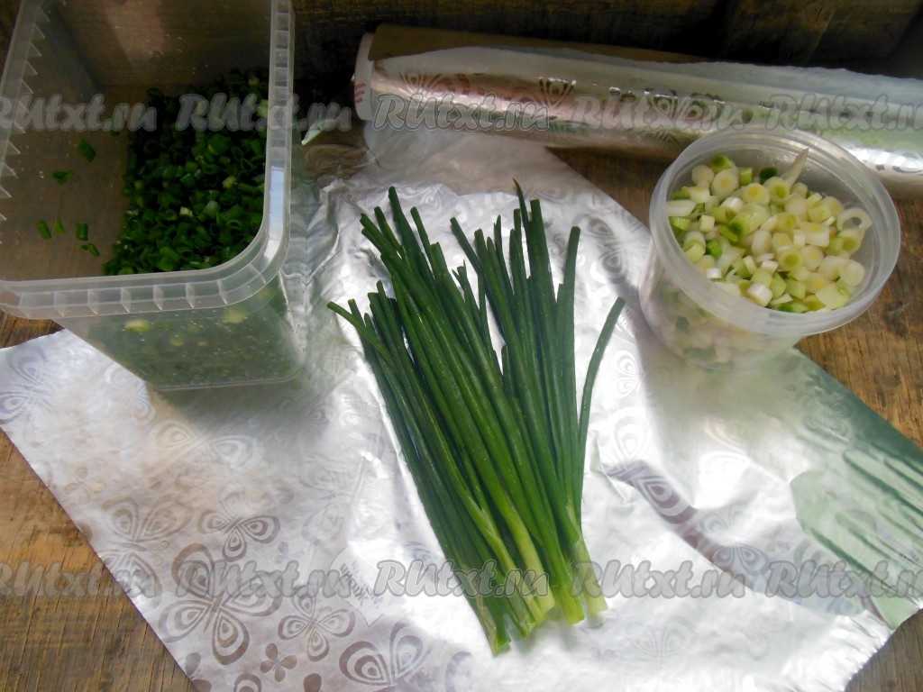 Как хранить зеленый лук