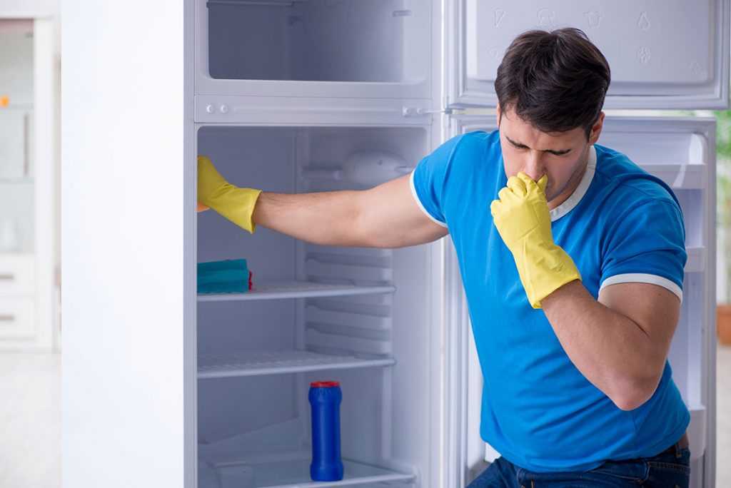 Как избавиться от запаха испорченных продуктов из кухни
