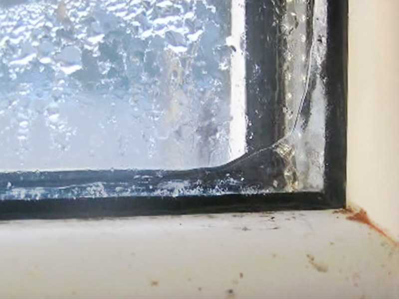 Как избавиться от плесени на окнах и с откосов