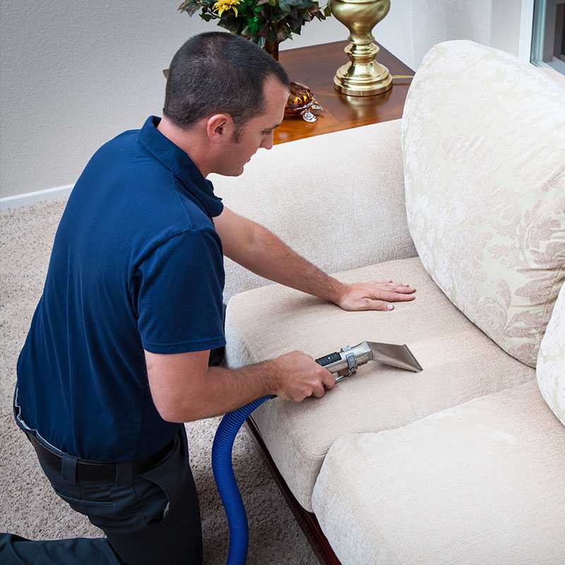 Как почистить диван в домашних условиях быстро и эффективно, правила