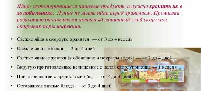 Срок хранения яиц в холодильнике и при комнатной температуре :: syl.ru
