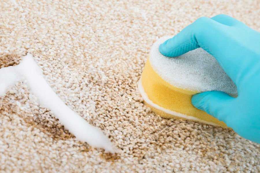 Как почистить ковролин в домашних условиях - лучшие средства и пошаговая инструкция