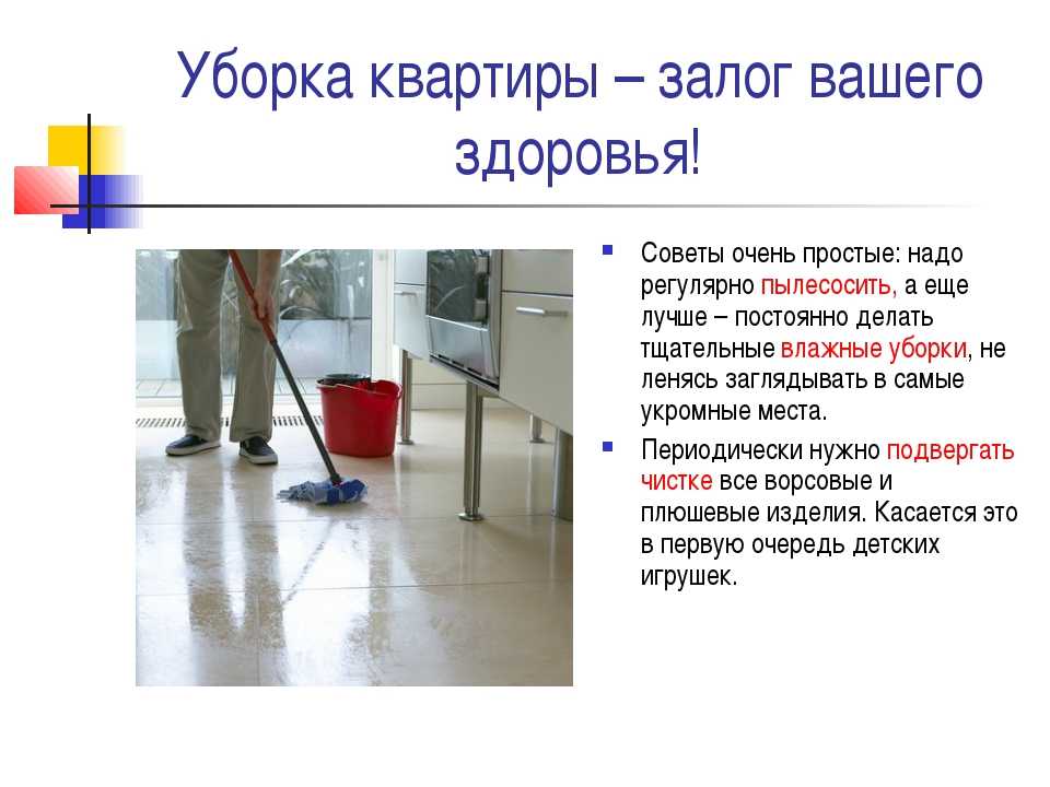 Влажная уборка квартиры или дома: как делать по правилам и эффективно