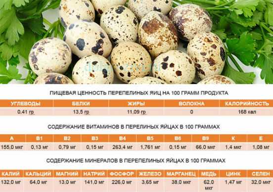Срок хранения яиц в холодильнике и при комнатной температуре