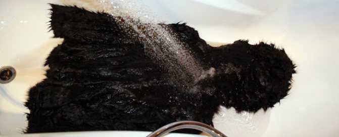Чистка искусственного меха в домашних условиях: можно ли стирать белую шубу в стиральной машине, как отстирать меховую шапку и воротник