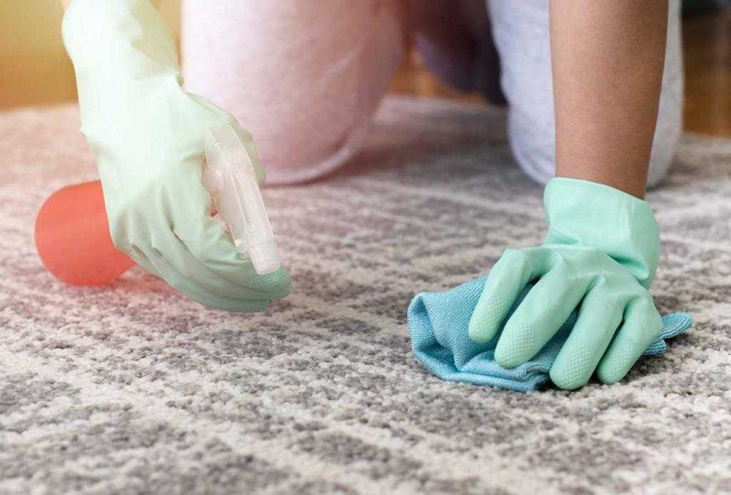 Как очистить ковер от пятен в домашних условиях | чем вывести пятна с ковра