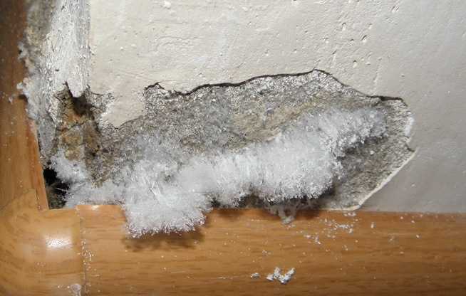 Как убрать плесень со стен в квартире и доме