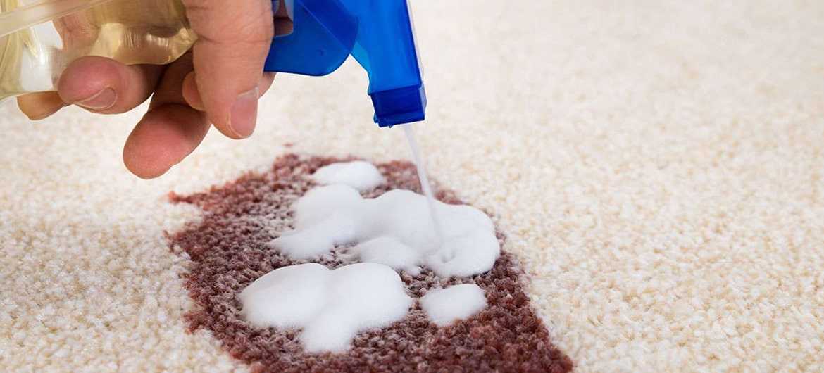 Как почистить ковер: народные средства и домашние способы удаления грязи и пятен с различных ковровых покрытий