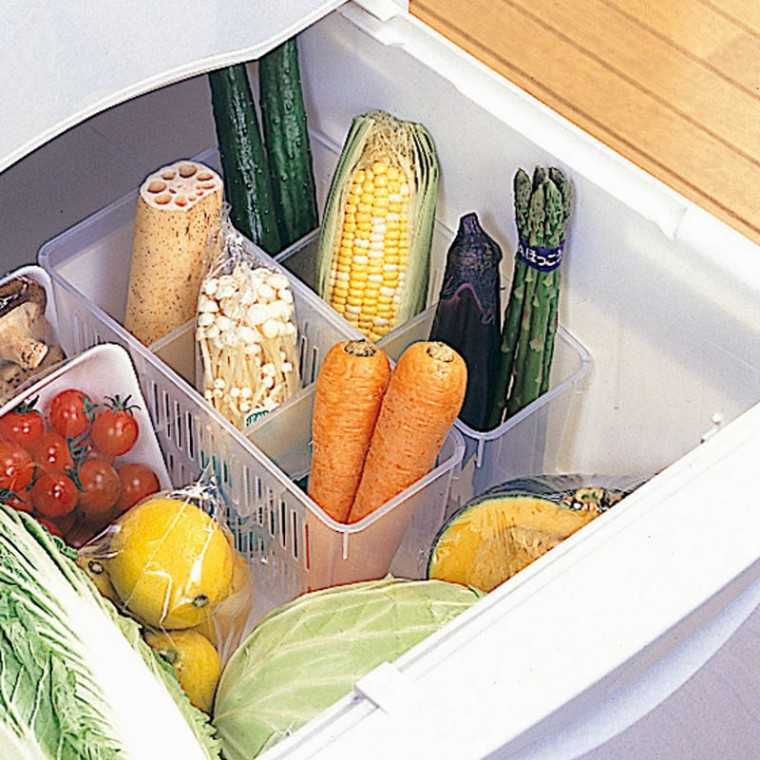 Как хранить капусту в погребе, квартире, холодильнике