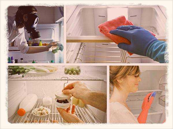 Как и чем помыть холодильник внутри, чтобы уничтожить неприятный запах?