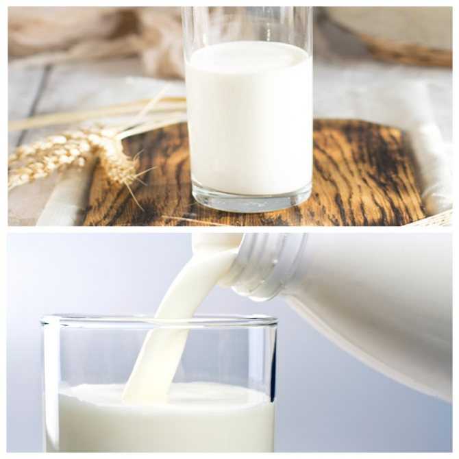 Срок хранения молока: как и сколько хранятся разные виды продукта (миндальное и другие, после вскрытия упаковки, открытое), можно ли замораживать?