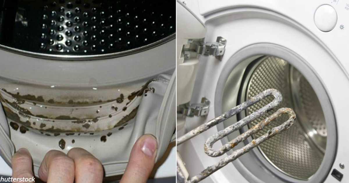 Когда фильтр в стиральной машине требует профилактики: способы очистки