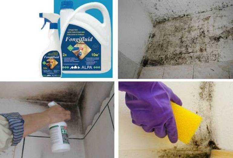Как устранить запах сырости в жилище. эффективные рекомендаций как избавиться от запаха сырости
