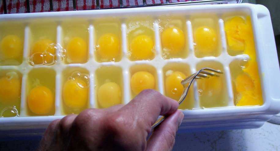 Можно ли, и как замораживать куриные яйца: сырые, вареные, в скорлупе