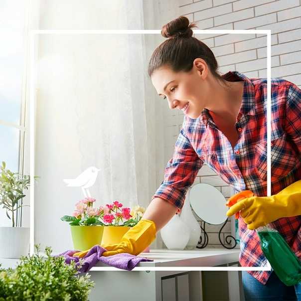 Генеральная уборка на кухне – с чего начать