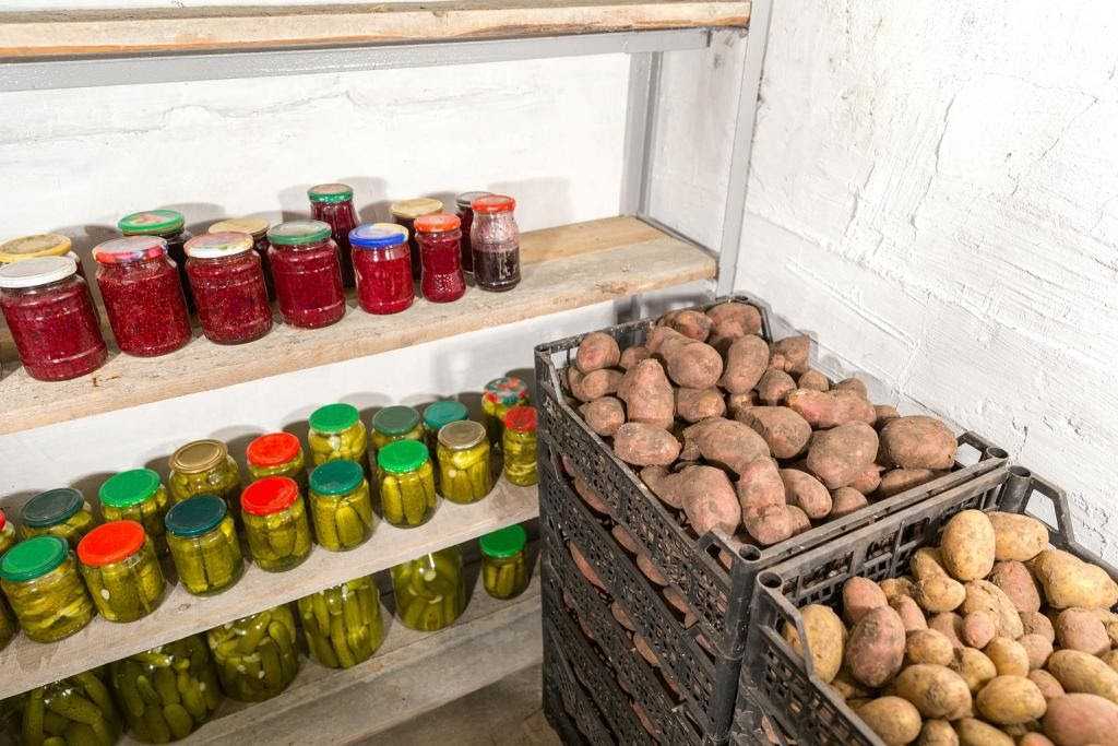 Как хранить картошку в квартире: где и в чем держать овощ зимой в домашних условиях, в том числе как правильно складировать его на кухне и в других помещениях? русский фермер