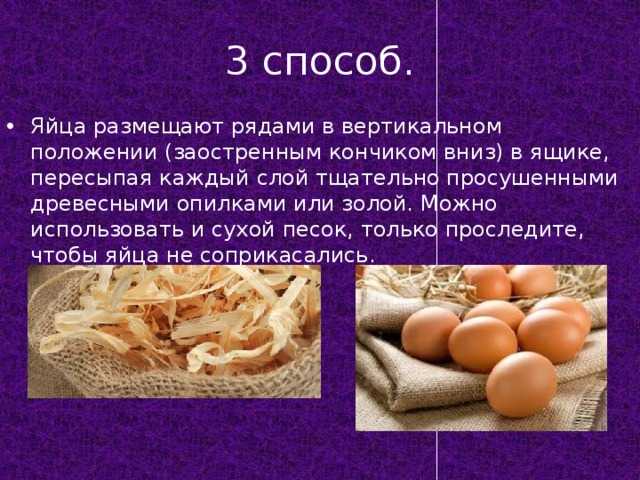 Бабушкины способы хранения яиц при комнатой температуре без холодильника