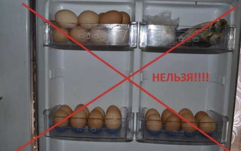 Хозяйке на заметку: сколько хранятся сырые и приготовленные перепелиные яйца в холодильнике?