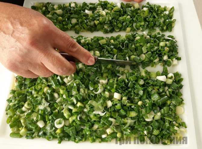Как сохранить зеленый лук на зиму — 4 проверенных способа 3 новых рецепта