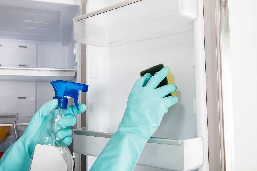 Чем помыть холодильник внутри, чтобы уничтожить запах эффективно!
