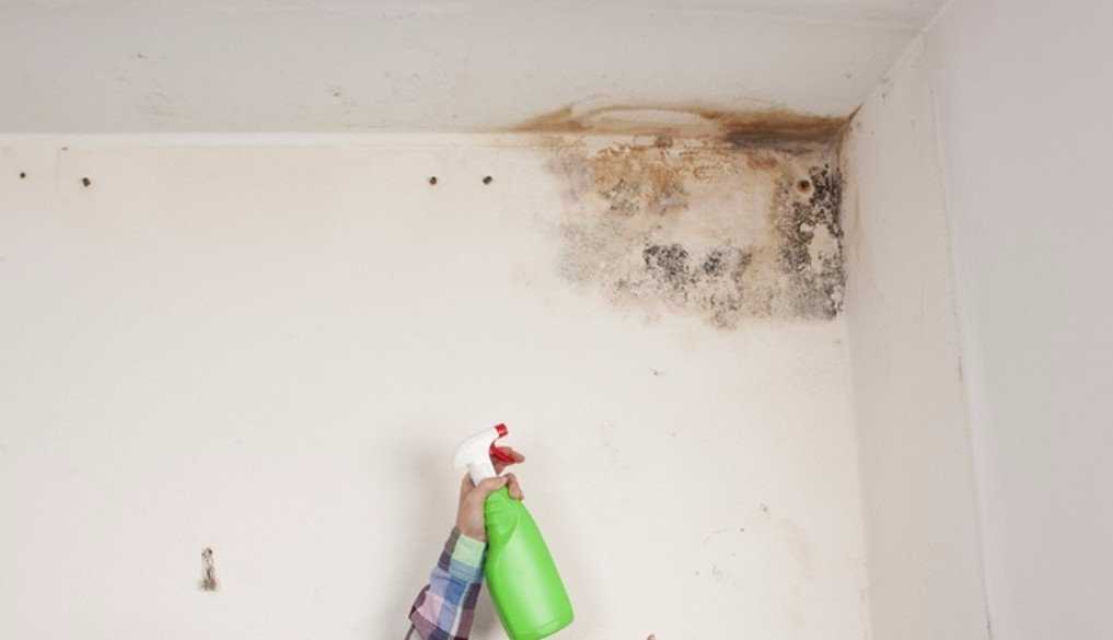 Зачем надо смывать старую побелку с потолка и как быстро это сделать - простые решения для ремонта