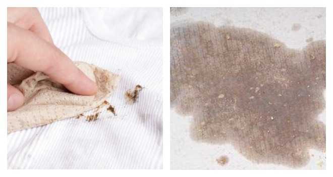 Как вывести жирное пятно с бумаги? – убираем свежие и застарелые следы
