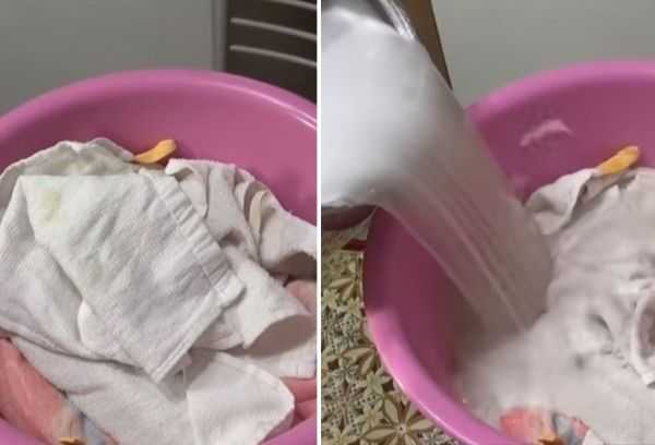 Как отстирать кухонные полотенца при помощи растительного масла (20 фото): как выстирать грязь подсолнечным маслом в домашних условиях