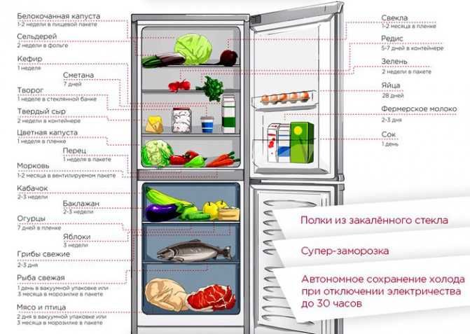 Как хранить квашеную капусту в домашних условиях: где хранить, сколько хранится в холодильнике