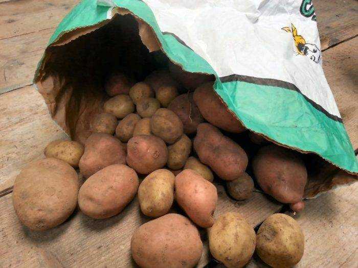 Как хранить картофель в квартире и погребе: полезные советы и секреты