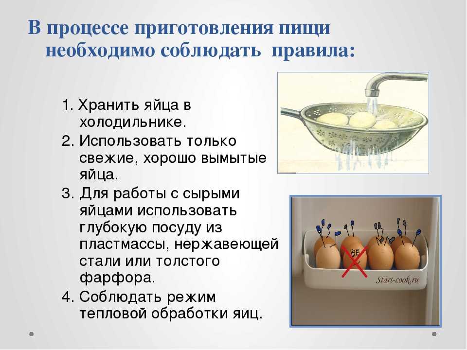Хранение куриных яиц и срок их годности в разных условиях