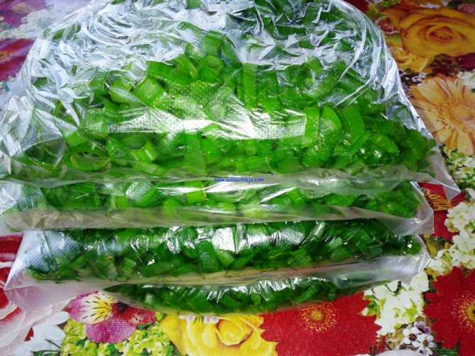 Как хранить зелень в холодильнике: долго, свежей
