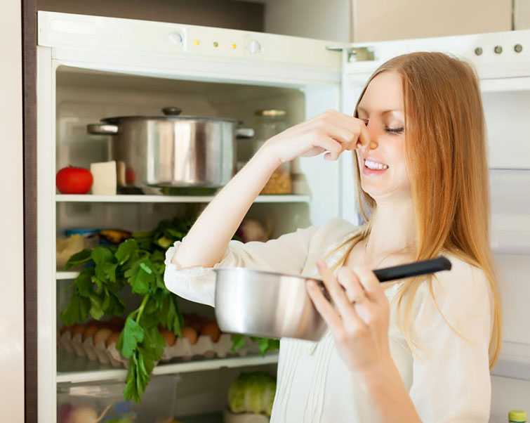 Как убрать неприятный запах тухлого мяса в холодильнике или морозильной камере