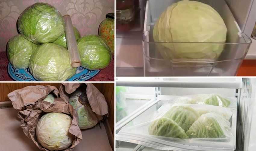 Как хранить цветную капусту в холодильнике: как правильно и сколько, чтобы она не темнела, каков срок хранения овоща в домашних условиях?