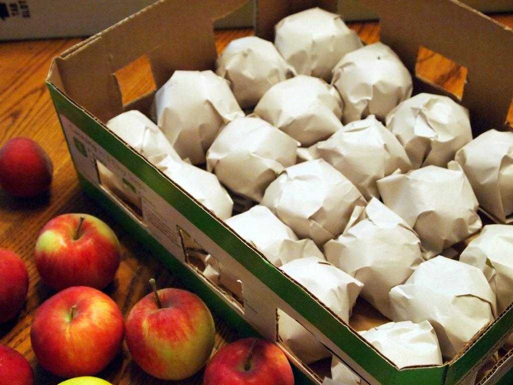 Чем обрабатывают яблоки для длительного хранения: способы и средства обработки фруктов в домашних условиях
