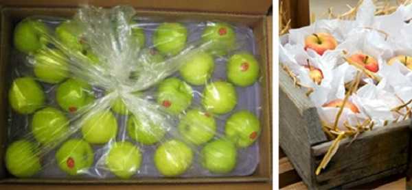 Срок хранения яблок (свежих, запеченных, на зиму): сколько хранятся, как долго их сохранять, как продлить период годности?