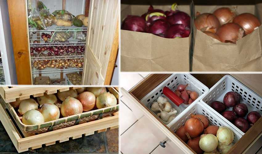Хранение яблок в домашних условиях на зиму: как сохранить в квартире и погребе, при какой температуре