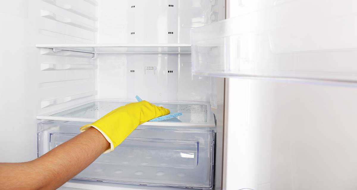 Нужно ли мыть новый холодильник, чем провести очистку от запаха