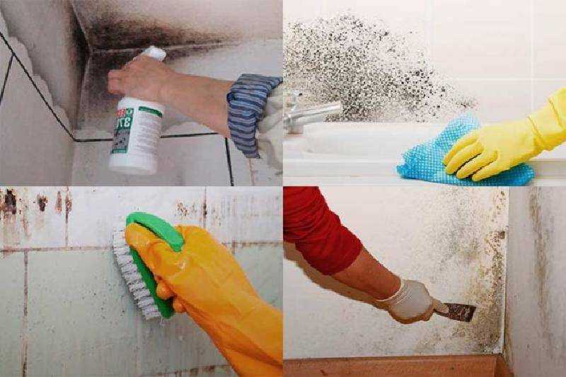 Как избавиться от назойливого запаха краски в квартире после ремонта