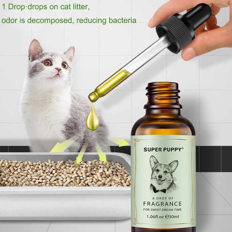 Устранение кошачьего запаха: простые способы борьбы с кошачьими метками