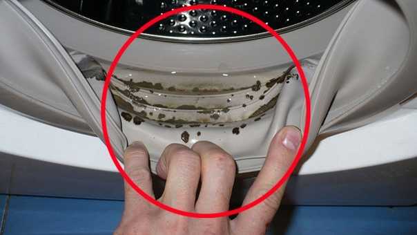 Плесень в стиральной машине как избавиться: как очистить резинку, почистить автома, чем отмыть, доместос
