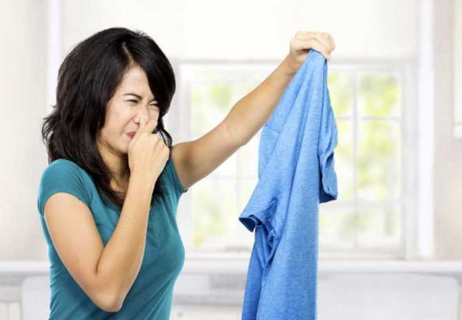 Как избавиться от запаха плесени на вещах? средства от грибка на ткани
