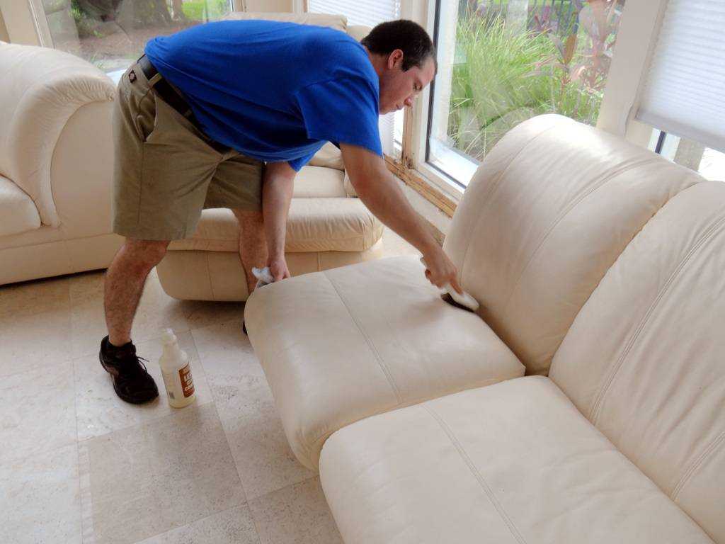 Чистка кожаных диванов: полезные советы, эффективные способы и методы чистки