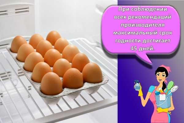 Как хранить яйца без холодильника: 9 способов хранения, сроки годности