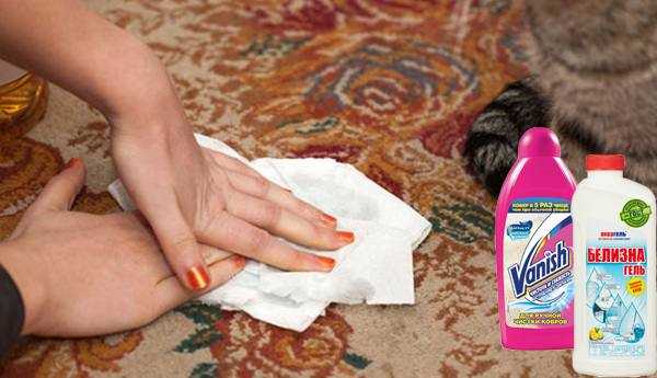 13 эффективных способов, как убрать запах кошачьей мочи с дивана в домашних условиях