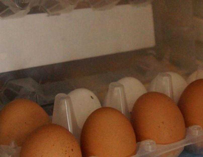 Срок хранения яиц в холодильнике и при комнатной температуре