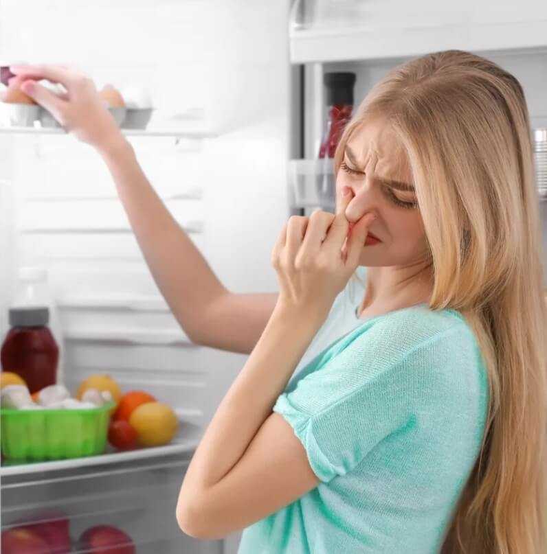 Из этой статьи вы узнаете, как в домашних условиях убрать запах после протухшего мяса из холодильника и морозилки, как вывести неприятный аромат при помощи народных рецептов, чем удалить загрязнения и устранить амбрэ, используя бытовую химию