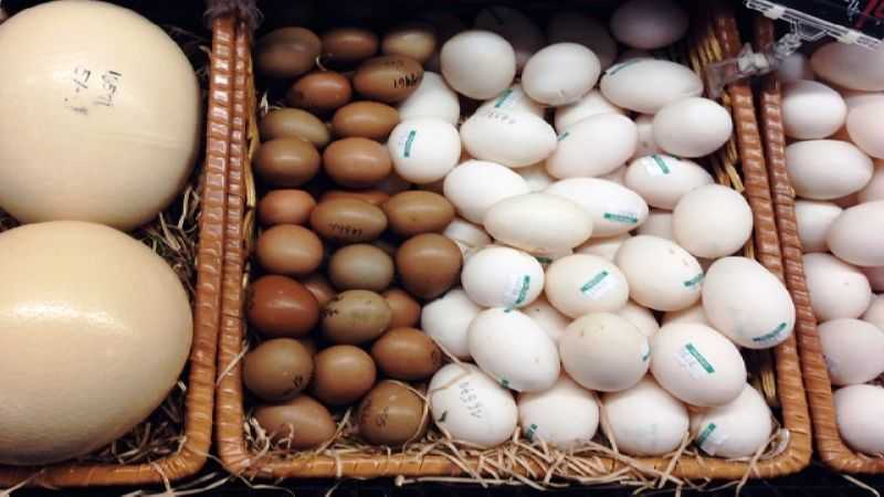 Cрок годности яиц: сколько хранятся сырые куриные, перепелиные и другие