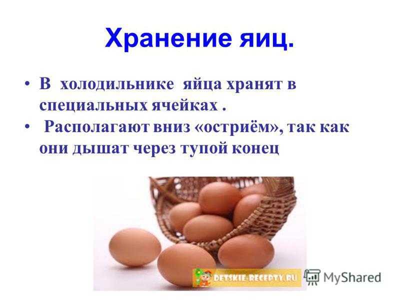 Хранение куриных яиц и срок их годности в разных условиях